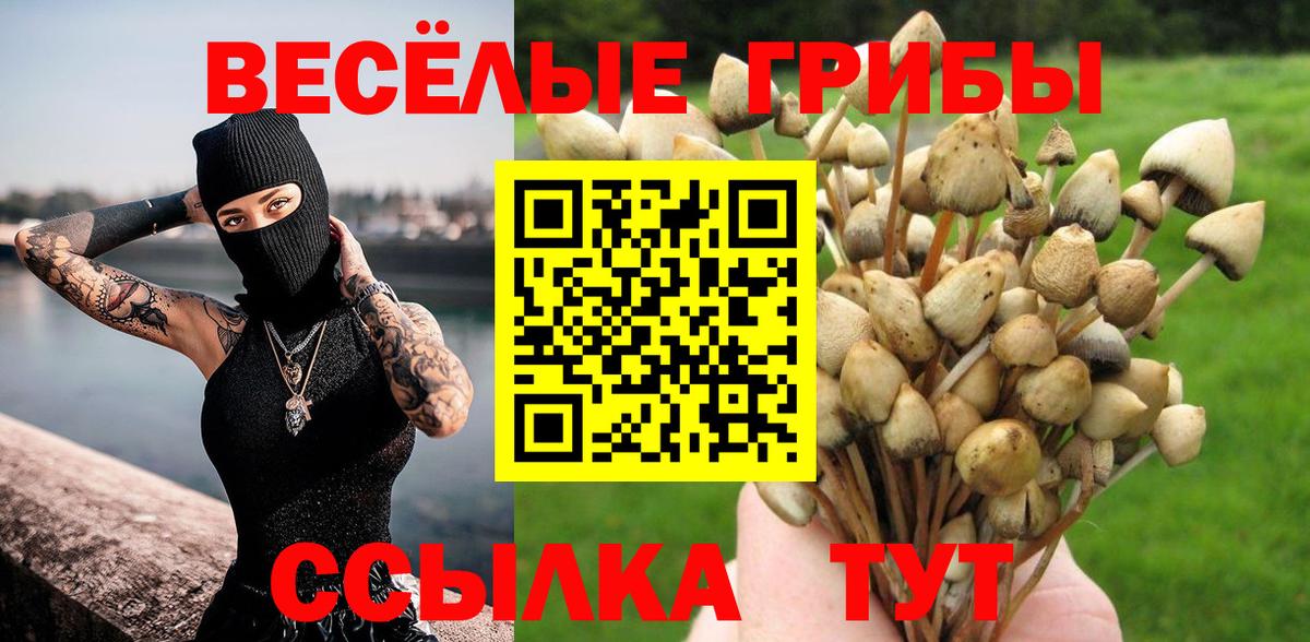 Галлюциногенные грибы GOLDEN TEACHER  Вход с VPN  Изобильный 